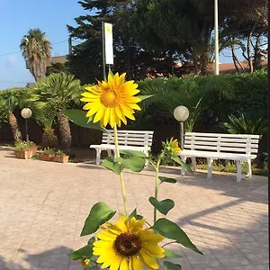 Couette-café Fiori Gialli Caucana Italie